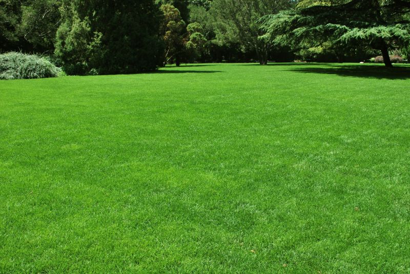 Landscape with Lawn