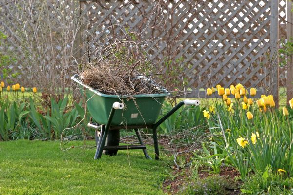 Flower Bed Cleanup Service in Green Bay