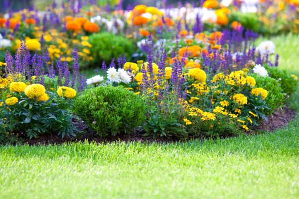 Flower Bed Maintenance in Green Bay