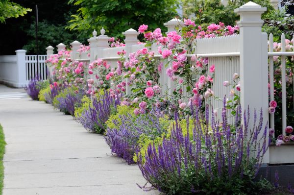 Garden Handyman Service in Green Bay