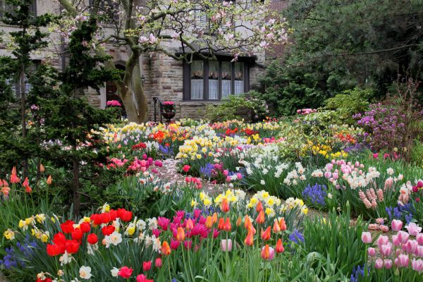 Garden Maintenance Service in Green Bay