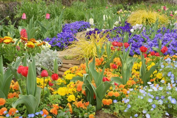 Garden Renovation in Green Bay