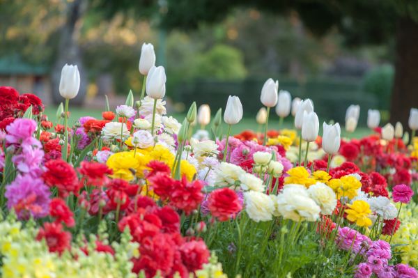 Gardening Service in Green Bay