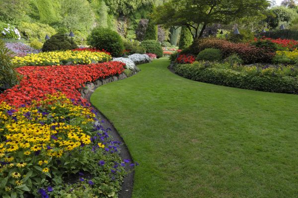 Landscaping Maintenance in Green Bay