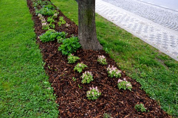 Mulch Replacement Service in Green Bay
