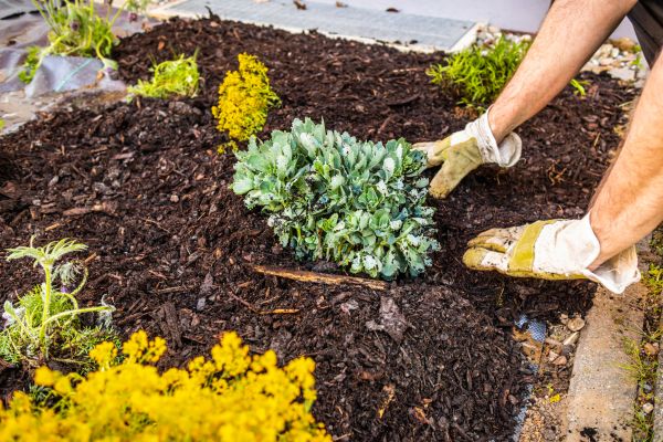 Weeding And Mulching in Green Bay