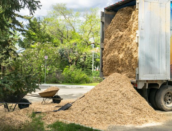 Wood Chips Delivery in Green Bay