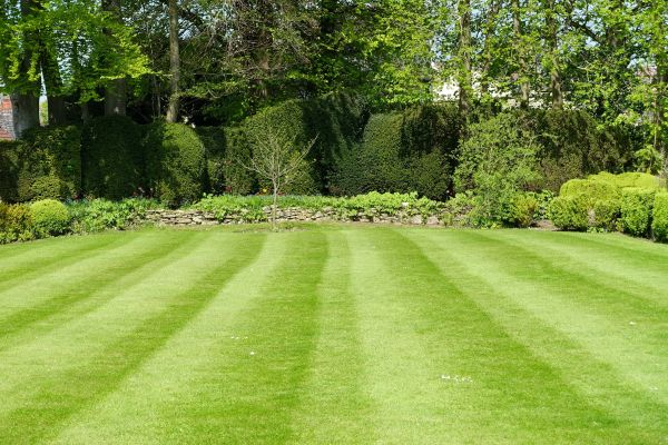 Lawn Renovation in Green Bay
