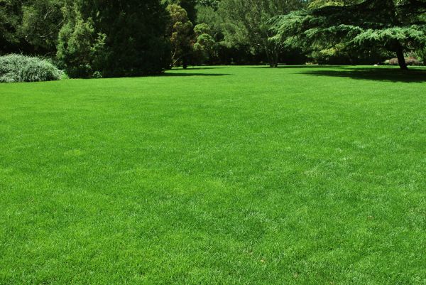 Lawn Landscaping in Green Bay