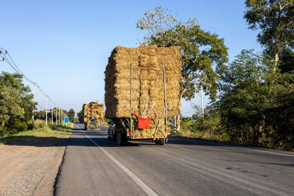 Pine Straw Delivery in Green Bay
