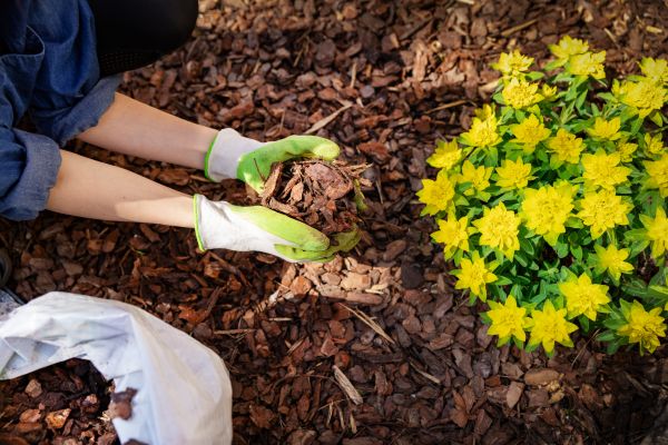 Garden Mulching in Green Bay