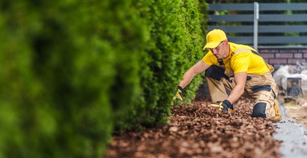 Cypress Mulch Installation in Green Bay