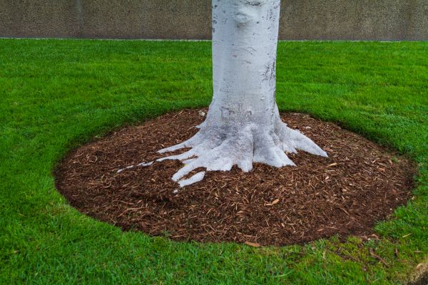 Brown Mulch Installation in Green Bay