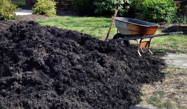Black Mulch Installation in Green Bay