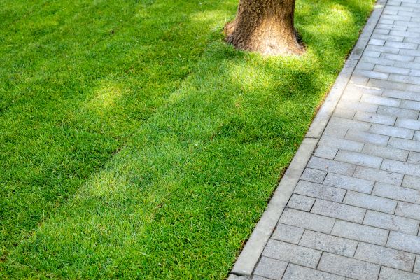 Border Stone Installation in Green Bay