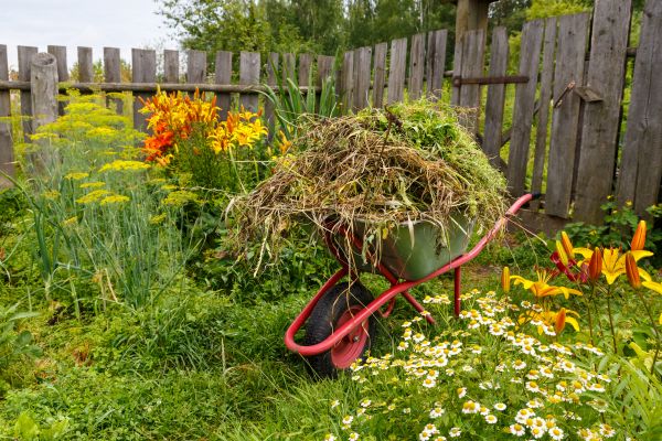 Garden Cleanup Service in Green Bay