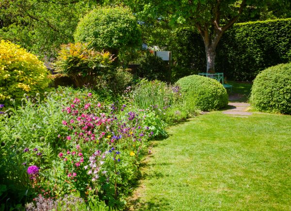 Yard Landscaping Service in Green Bay