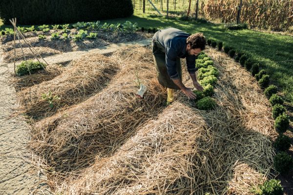 Straw Mulching Service in Green Bay