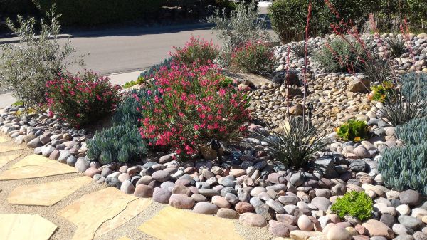 Xeriscape Landscaping in Green Bay