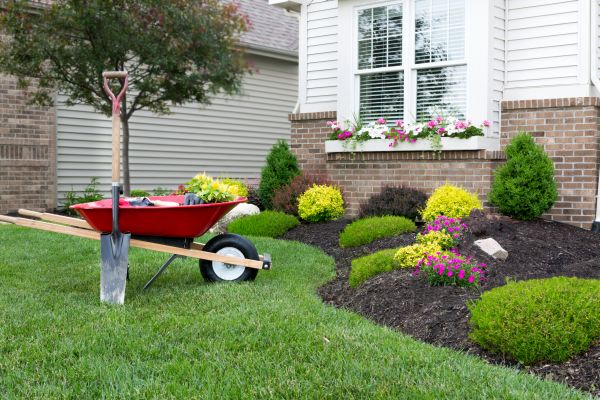 Tree And Shrub Planting in Green Bay