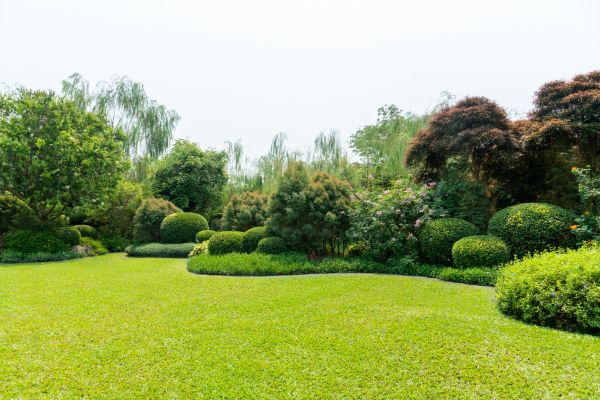 Tree Landscaping in Green Bay