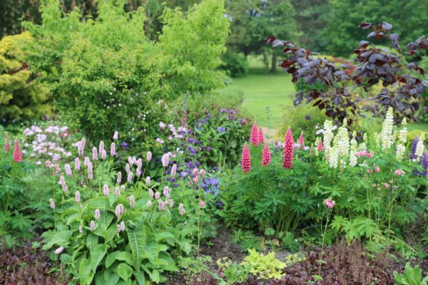 Flower Bed Planting in Green Bay