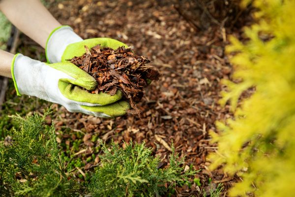 Garden Mulch Delivery in Green Bay