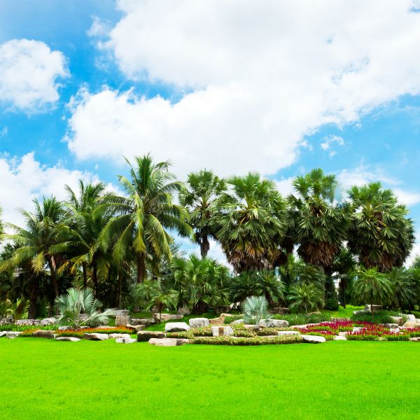 Tropical Landscaping in Green Bay