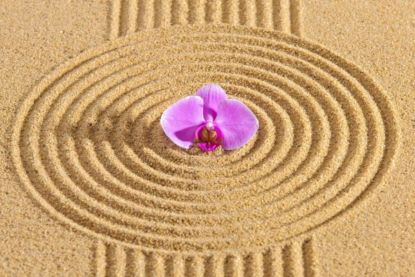 Sand Garden Landscaping in Green Bay