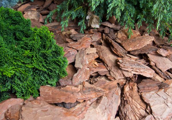 Pine Bark Installation in Green Bay
