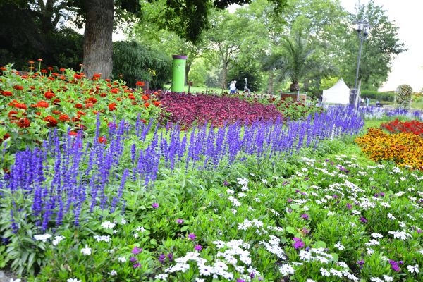 Perennials Planting in Green Bay