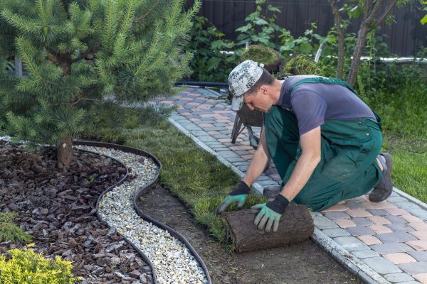 Landscaping Modification in Green Bay
