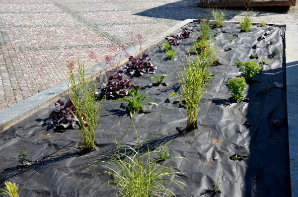 Landscape Fabric Installation in Green Bay