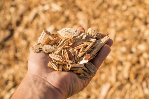 Wood Chips Spreading in Green Bay