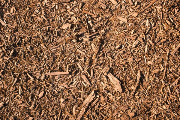 Wood Chips Removal in Green Bay