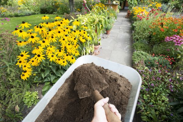 Topsoil Replacement in Green Bay