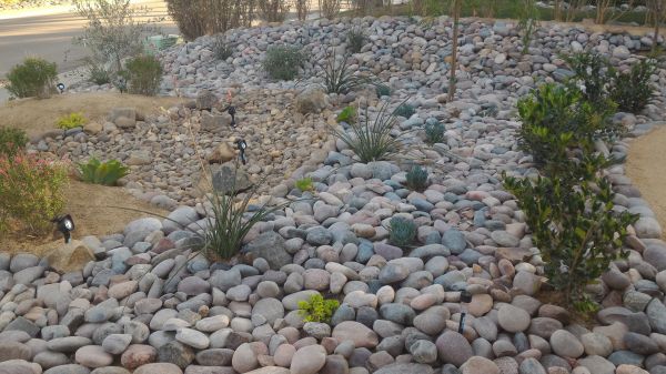 Yard Xeriscaping in Green Bay