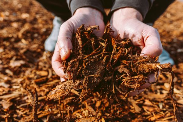 Bark Chips Delivery in Green Bay