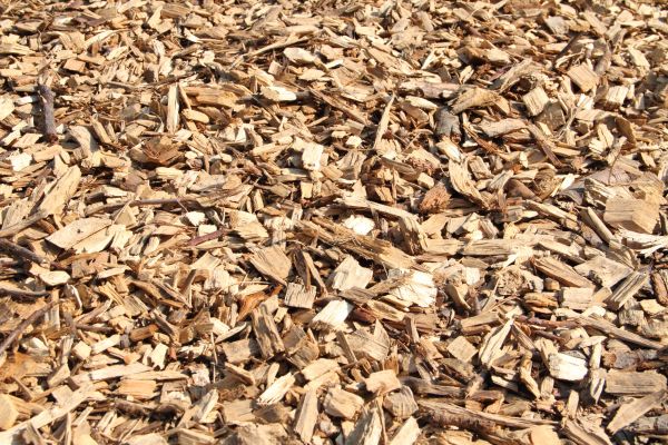 Wood Mulch Delivery in Green Bay