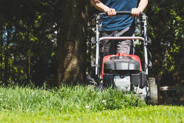 Garden Trimming Service in Green Bay