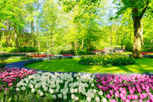 Flower Landscaping in Green Bay
