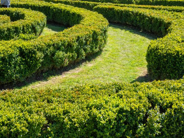 Bush Landscaping in Green Bay
