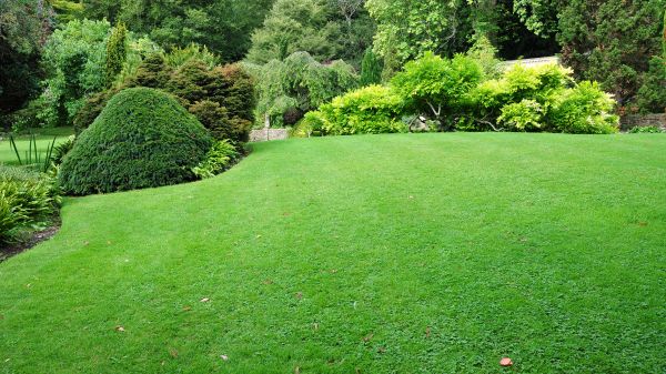 Commercial Landscape Design in Green Bay