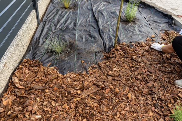 Pine Bark Spreading in Green Bay