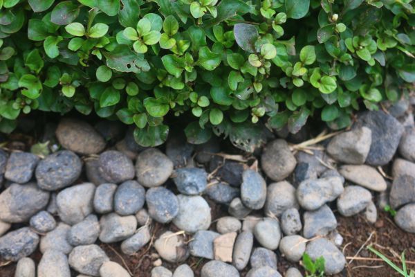 River Stone Installation in Green Bay