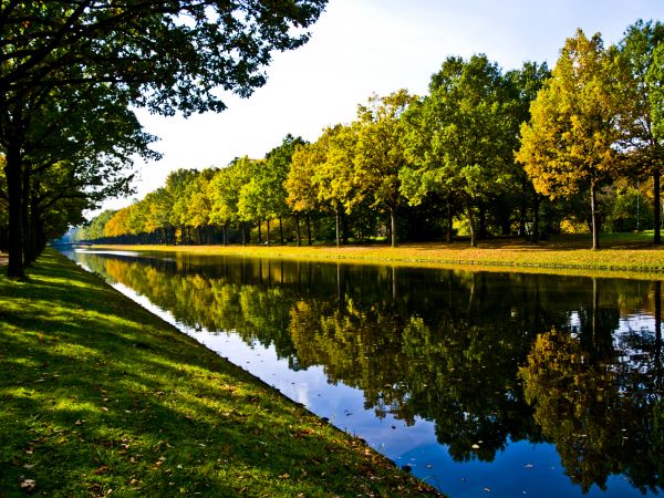 Bank Landscaping in Green Bay