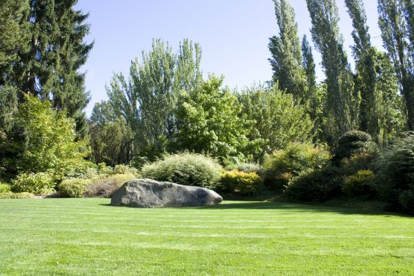 Yard Enlargement in Green Bay