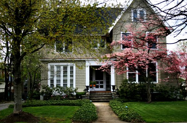 Ornamental Tree Planting in Green Bay