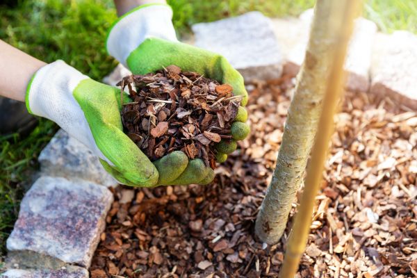Tree Bark Delivery in Green Bay