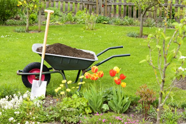 Spring Yard Renovation in Green Bay